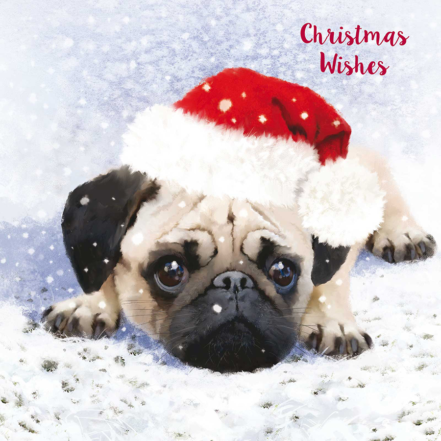 Cute Christmas Pug Luxury Mixed Charity Cards - Pack of 10 - Natural ...